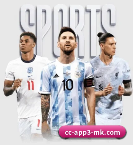 MK体育 APP 界面
